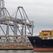 Viverra ac pellentesque vitae nunc aenean